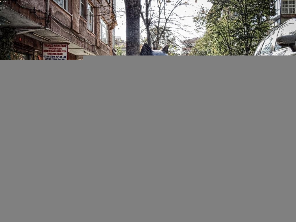 យុទ្ធសាស្ត្រសម្រាប់ការលេងយ៉ាងឆ្លាតនិងការបង្កើតសមត្ថភាព